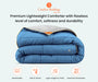 Light grey and mediterranean blue reversible comforter - Comfort Beddings