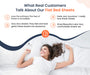 White Pack Of 2 Flat Bedsheet With 4 Pillow Covers - Comfort Beddings