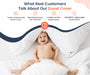 Sage Duvet Cover - Comfort Beddings