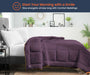 plum comforter - Comfort Beddings